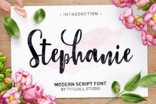 Stephanie Script: A Modern Script Font for Strategic Design